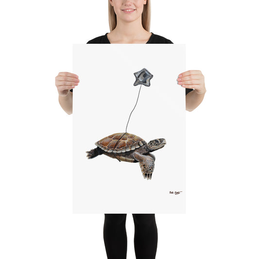 Turtle Poster