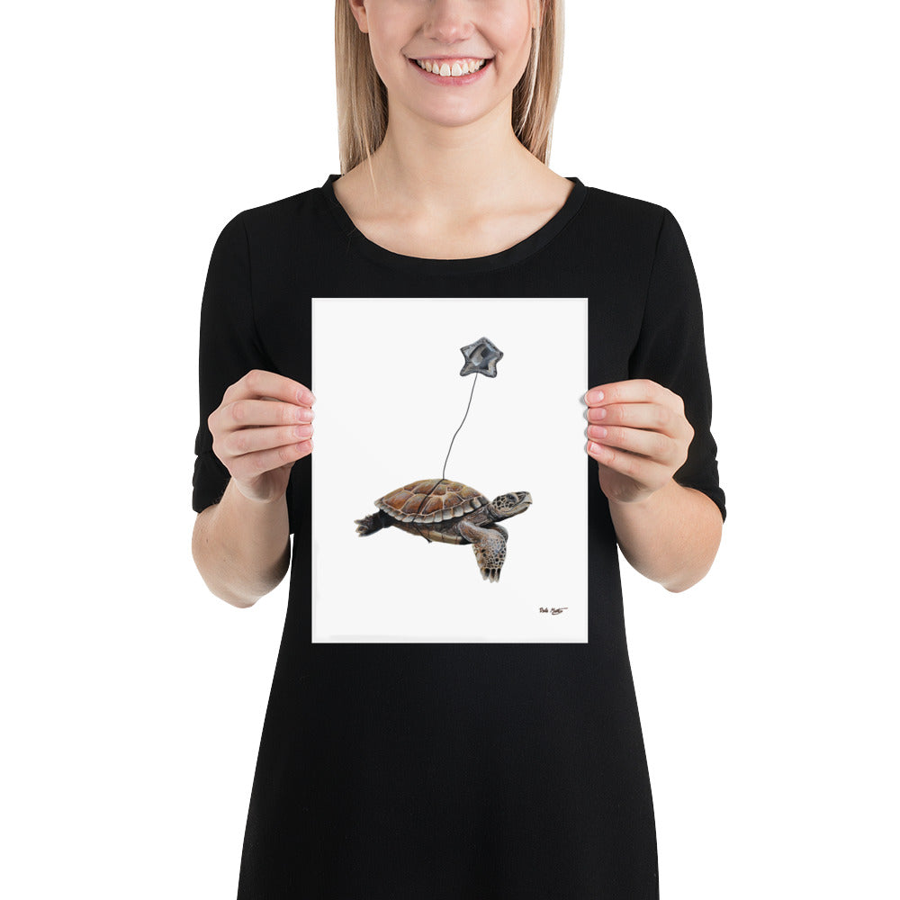 Turtle Poster