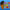 Windows2002