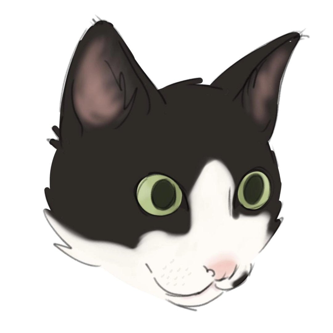 Verkani Cat