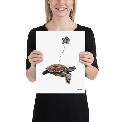 Turtle Poster