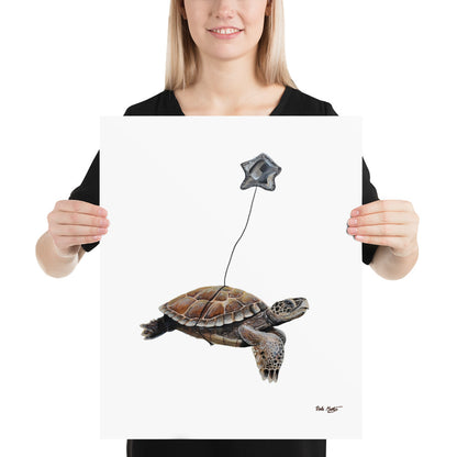 Turtle Poster