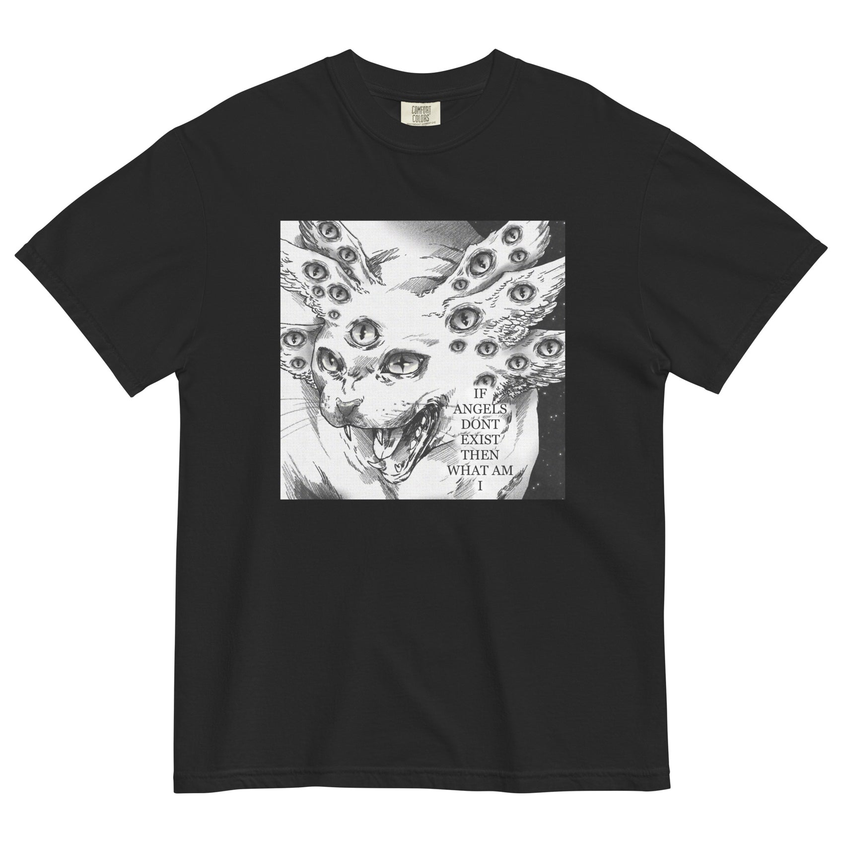 What Am I Heavyweight T-Shirt